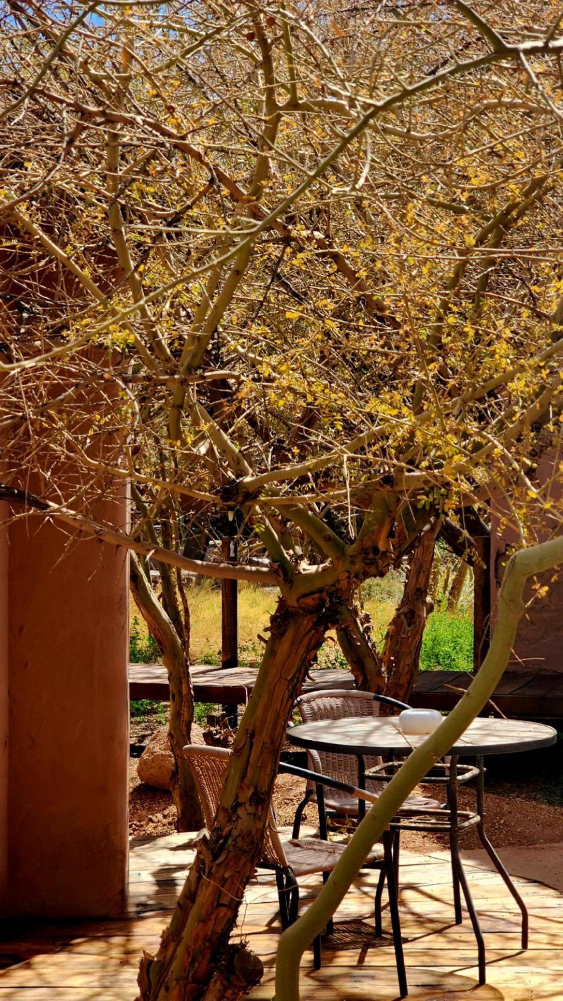 Hotel Tulor San Pedro de Atacama Bagian luar foto